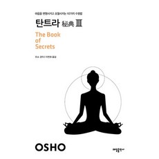 탄트라 비전 3, (주)태일소담