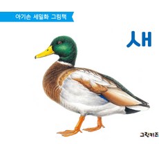 세밀화첫놀이책