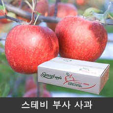 VIP설날 과일선물세트/의성사과 스테비사과 고당도 부사 사과 5kg 16~19과