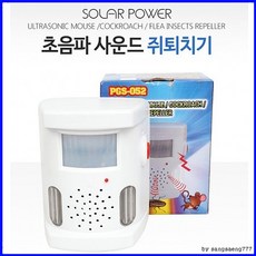 고양이초음파