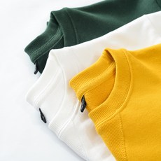 팔멕스텔라후드