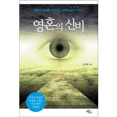영혼의 신비:영혼의 실체를 보여주는 과학적 탐구 보고서, 하늘아래