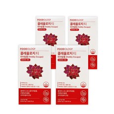 콜레올로지티