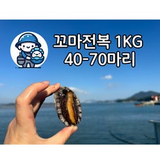 완도전복 1kg 40-70마리 꼬마전복 (생산자직송), 1개