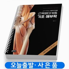 근육뼈대계통