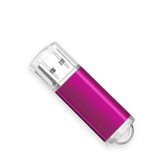 젠더 컬러 USB 플래시 드라이브 무료 레이저 로고 20 메모리 스틱 펜드라이브 32GB 64GB 128GB 4GB 8GB 16GB 100PCs로트, 65.8GB - Pink