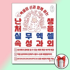 난생처음 실무엑셀 속성과외 / 황금부엉이, 단품