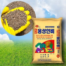 용성인비