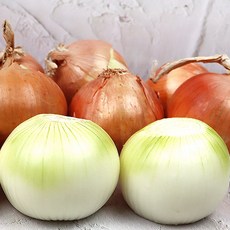 양파한망