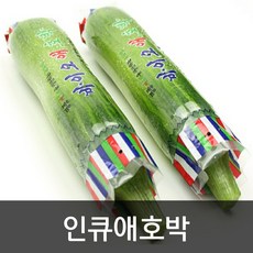 약수농장 인큐애호박 5kg내외 (상) 1박스 애호박20개, 5kg(20개입)