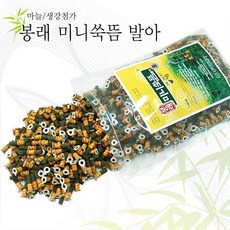(국산 싸주아리 고급쑥/미니뜸) 봉래 미니쑥뜸 발아 500g (마늘/생강첨가)