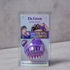 닥터그루트두피브러쉬
