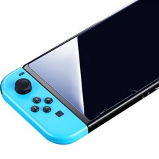 스위치라이트강화유리필름