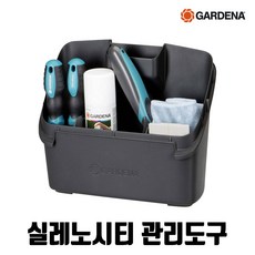 실레노시티