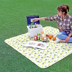 삼락공원피크닉