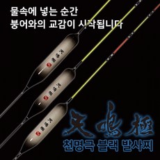 이스케이프전자찌