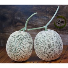 맛가득 빛센서선별 고당도 메론 칸탈로프멜론 파파야메론 머스크메론, 머스크멜론 1.67-1.95Kg 2입, 2개