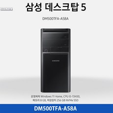 삼성전자 데스크탑5 DM500TFA-A58A (8GB M.2 256GB)