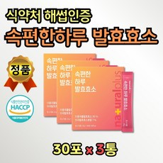 음식물분해효소