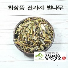 자연산벌나무