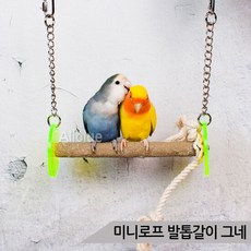 강아지발톱그네