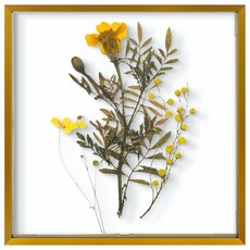 Frametory 플로팅 액자 30.5x30.5cm(12x12인치) - 블랙 알루미늄 금속 사진 프레임 - 전면 실제 유리 - 벽 마운트 디스플레이용, Frametory, 플로팅 사진 프레임 30.5x30., 브론즈