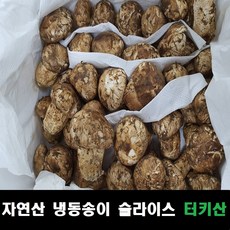 송이버섯 자연산 냉동슬라이스 터키산, 구이전골용 슬라이스손질 500g, 1개