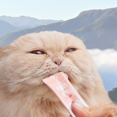 캣츠모리 고양이 물좋은 스틱 간식 10g x 5p, 참치 x 6개