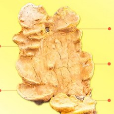 국내 상황버섯 국내산 장수 상황버섯 절편 250g, 1개