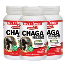 뉴트리돔 북부 캐나다산 야생 차가버섯 Chaga 360mg 120캡슐 3병