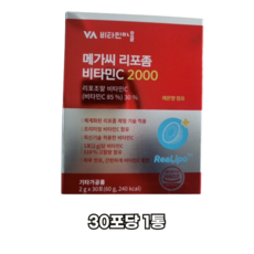 비타민마을 고함량 메가씨 리포좀 비타민C 2000, 120g, 1개