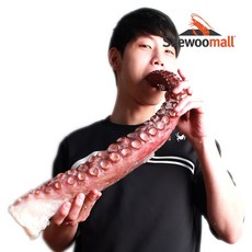 새우몰 대왕문어다리 10kg 15개내외 문어숙회 업소용, 1개