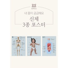 뼈 장기 신체 학습포스터 3종 세트 유아 벽 포스터, 420*594mm, 페일핑크, 1개