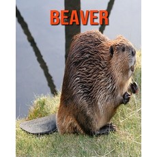 Beaver: Amazing Facts about Beaver Paperback, Independently Published, English, 9798693956544
