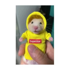 햄스터옷 겨울 작은 옷 애완동물 옷, 더블 벌룬 패턴 화이트 스웨터 10x8cm, 1개