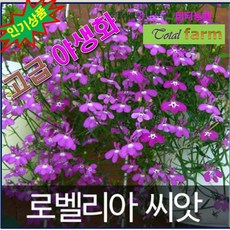 ae4662121be2a7fdf97d75d52cb12aa113ea7a4ea35a26933bf04f77a95b.jpeg