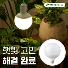 히포팜텍 식물생장등 LED 볼램프 식물등 15W 식집사 필수템, 1개