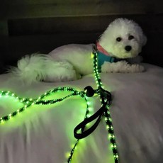  핀아펫 강아지 리드줄 LED 소형 중형견 대형견 목줄 산책줄 야광줄 안전줄 2IN1 손목줄 허리줄, 2IN1 리드줄 