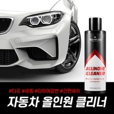 팀플렉스 자동차 올인원클리너, 1개, 200ml