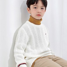 타미힐피거목도리