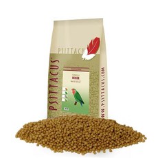 피타쿠스마이너