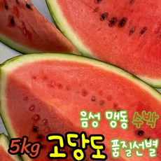 고당도 충북 음성 맹동수박 당도선별 5kg 유명산지 최상급 명인 명품 프리미엄 꿀 제철 열대 과일 복수박 임산부 하우스 설탕, 1개