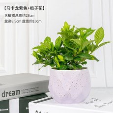 fb8712c43dbaa06e9e78c9f5580165bb82ab4a2a63a5051e055426b0efb6.jpg