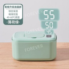물티슈워머 물티슈캡 케이스 120매 데우기 LCD, 업그레이드 스테인리스 LCD 민트- 온도 조절, 1개
