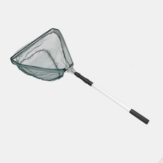 계곡놀이