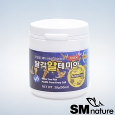 YB 탈각알테미아 [30g] -소, 1개, 30g