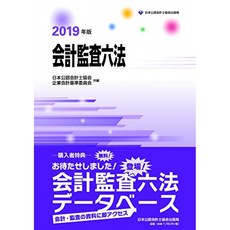 회계 감사 육법 2019 년판, 단일옵션