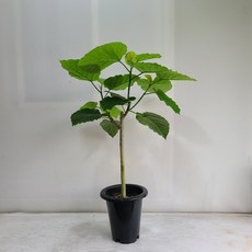 온누리070