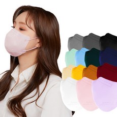 스노쿨링베이지