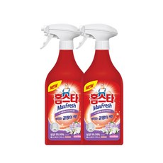 홈스타 뿌리는 곰팡이 싹 500+500, 500ml, 2개